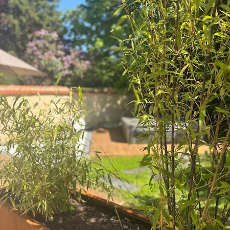 Bed & Breakfast Les Ecuries De Rigny, De Gamme Avec Privatif Et Piscine Au Coeur D'un Jardin Arbore 4*